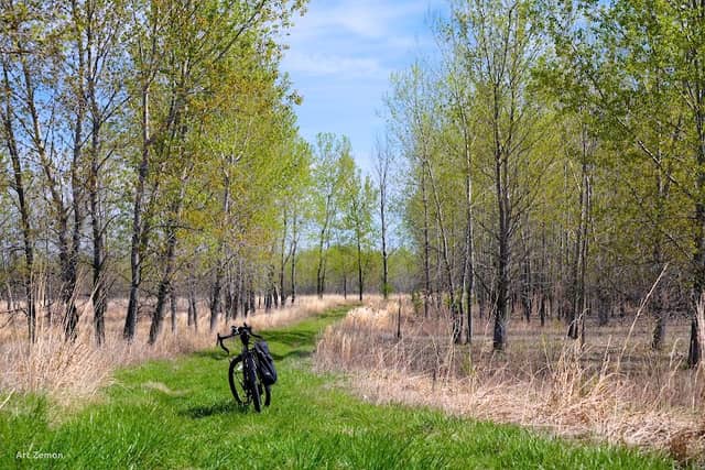Little Creve Coeur Ecological Area - Image 1