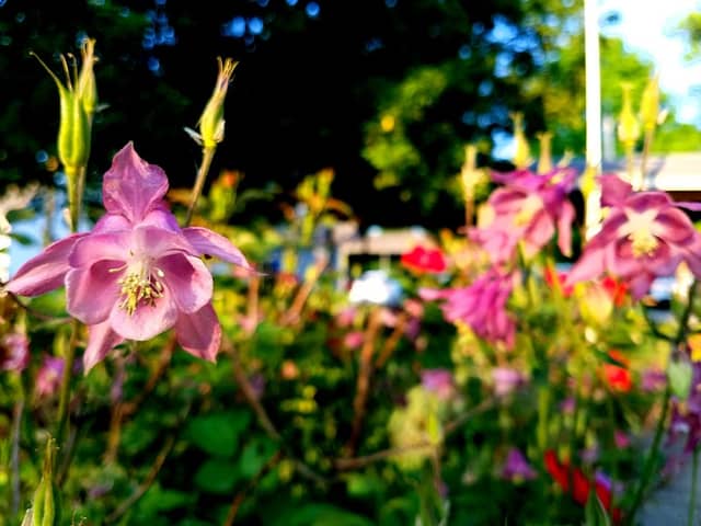 Goshen Township Park - Image 1