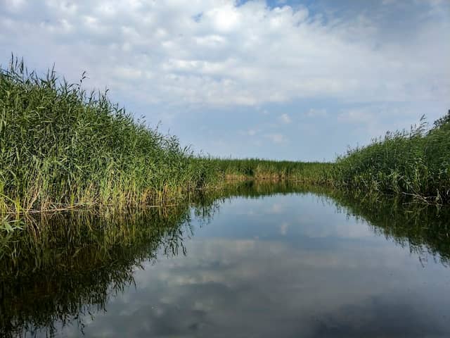 Rezerwat "Piaśnickie Łąki" - Image 2