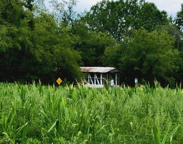 Historic Turner's Covered Bridge - Image 3