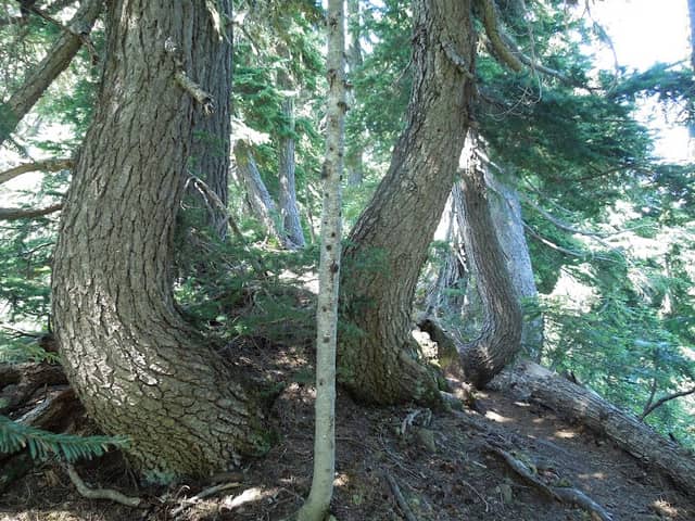 Poet Ridge Trailhead - Image 1
