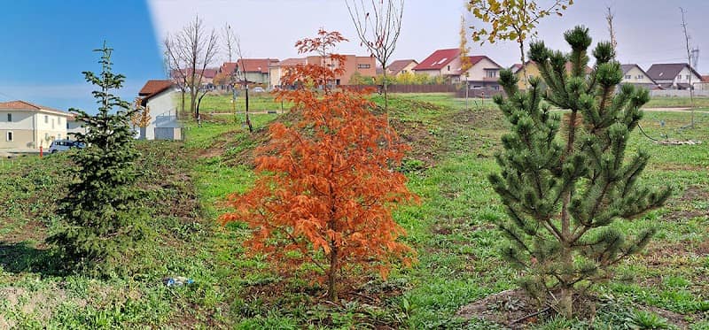 Vitta Garden - Image 1