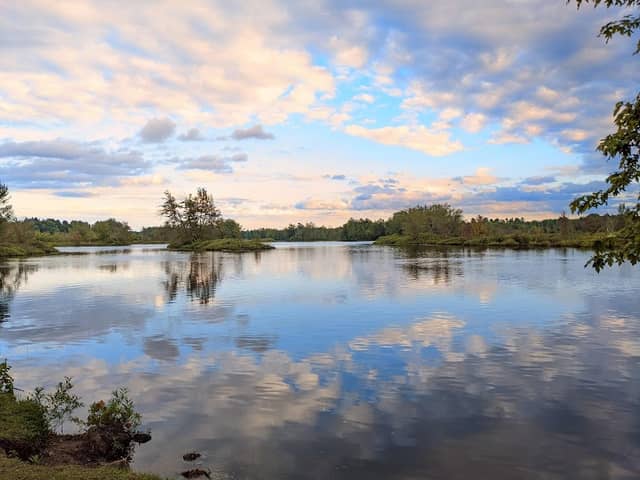 Ives Park - Image 2