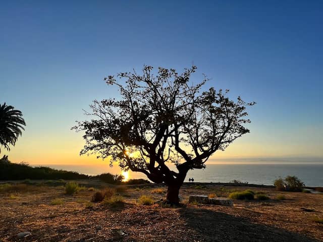 Surfview Park - Image 3