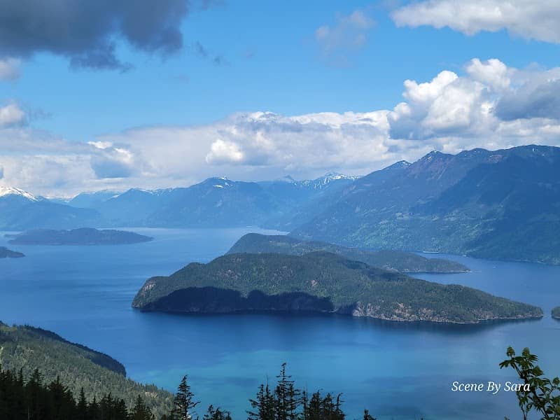 Harrison Lake Lookout - Image 1