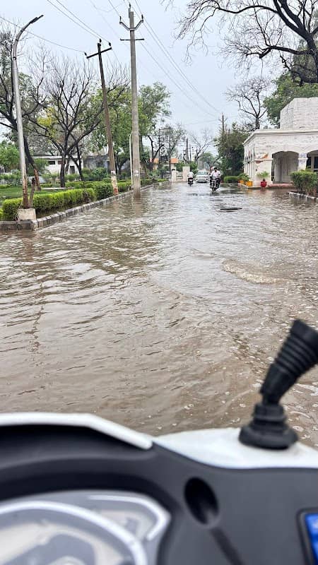 PWD Park - Image 1