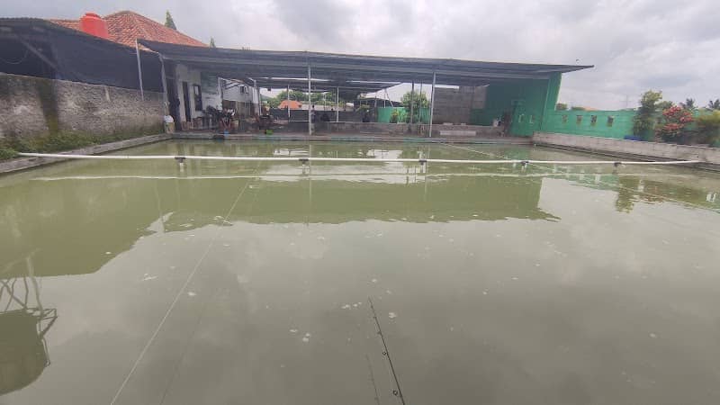 Pemancingan Wahyu Gempol - Image 1