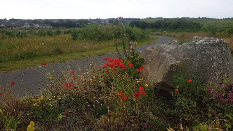 Arcadia Park - Image 1