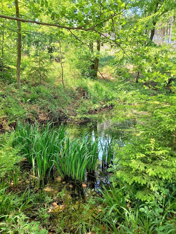 Erlenbachquelle - Image 1