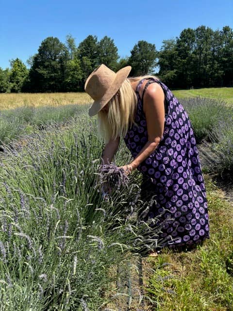 Shabo Lavender Farm - Image 1