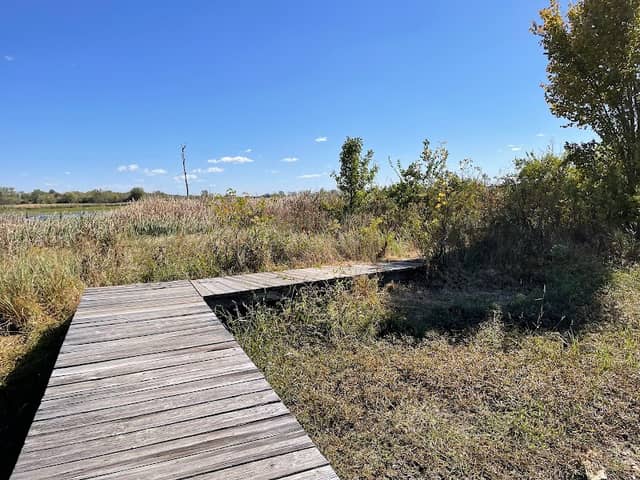 Haskell Wetlands - Image 1