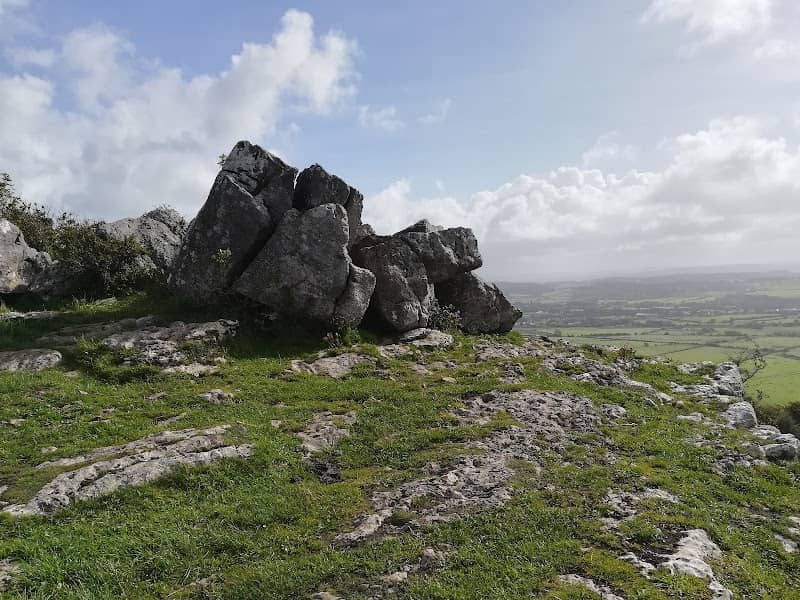 Warton Crag Local Nature Reserve - Image 3