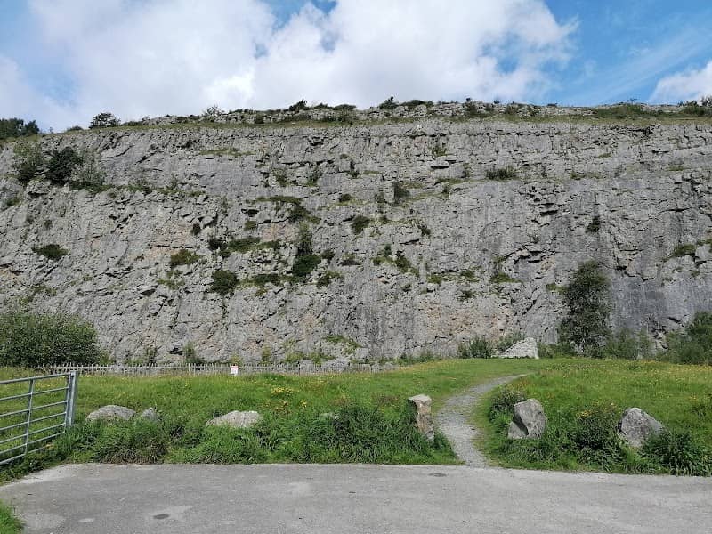 Warton Crag Local Nature Reserve - Image 1