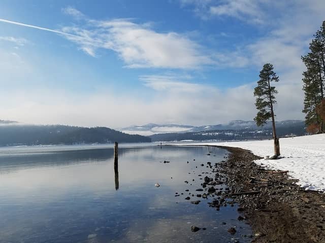 McEuen Park and Dog Park - Image 3