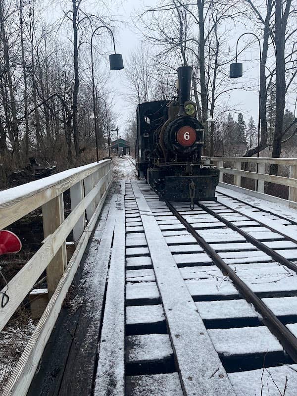 Richfield Springs Scenic Railway - Image 2