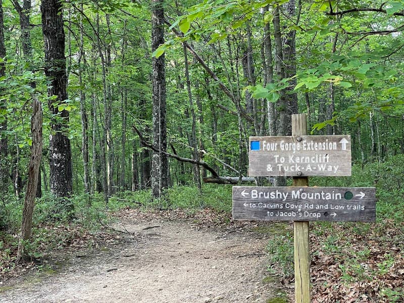 Carvins Cove Natural Reserve - Bennett Springs Access - Image 3