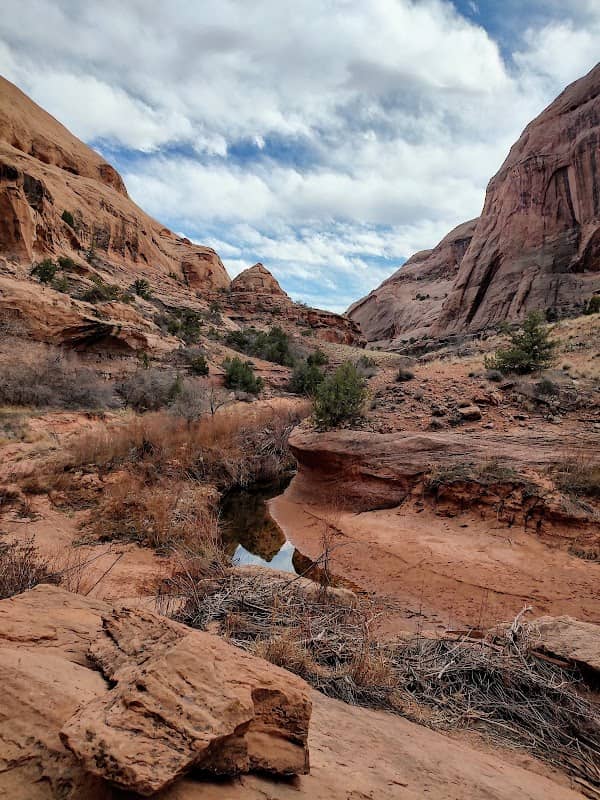 Grandstaff Canyon Wilderness Study Area - Image 3