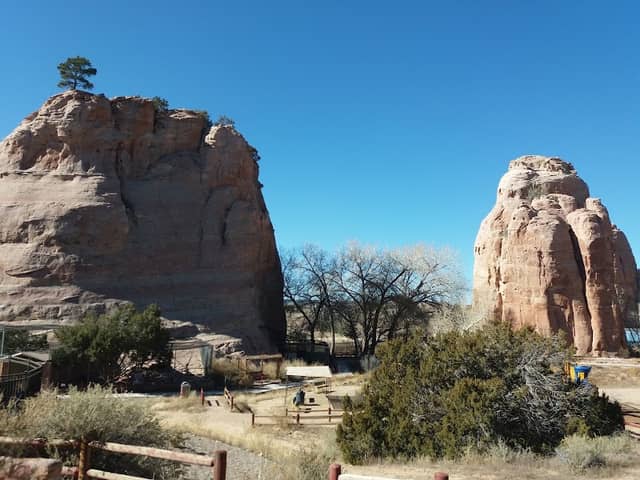 Navajo Nation Zoo - Image 1