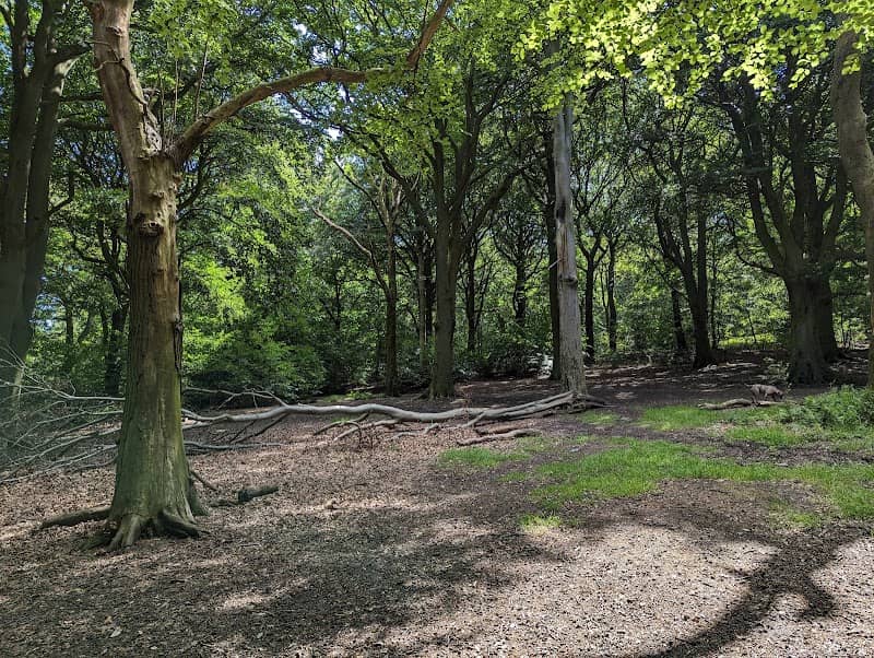 Whitley Wood - Image 1