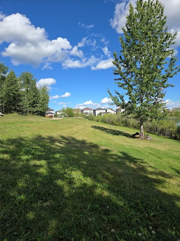 Curtis’ Pond - Image 2