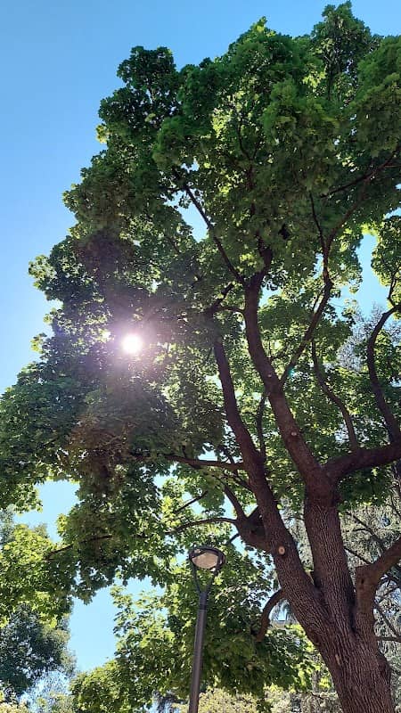 Parco De Vecchi - Image 2