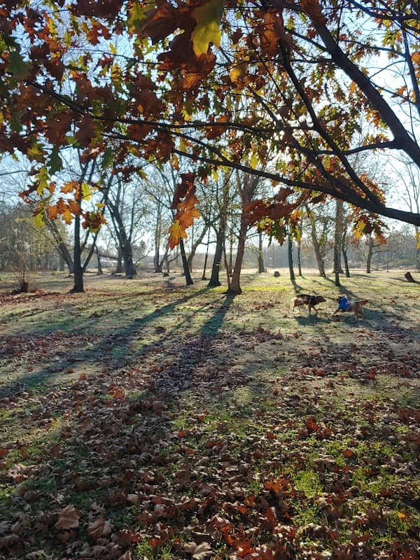 Marina Park - Image 1