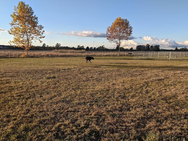 Strawberry Fields Athletic Complex - Image 1