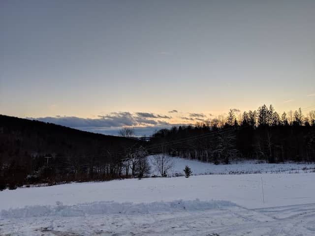 Tioughnioga Wildlife Management Area - Image 1