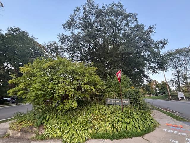 Elizabeth Park - Image 2