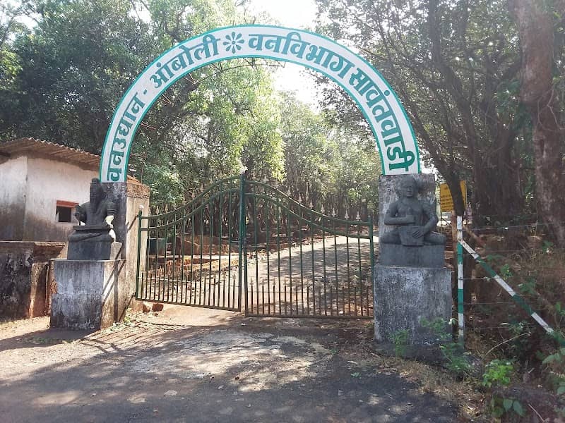 Amboli Forest Park - Image 1