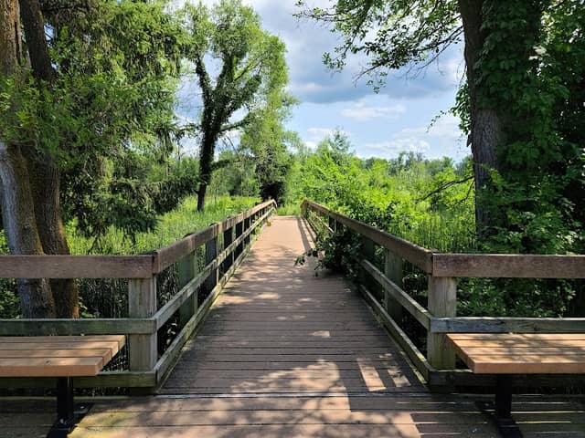 Indiana Dunes National Park Great Marsh Trail - Image 1