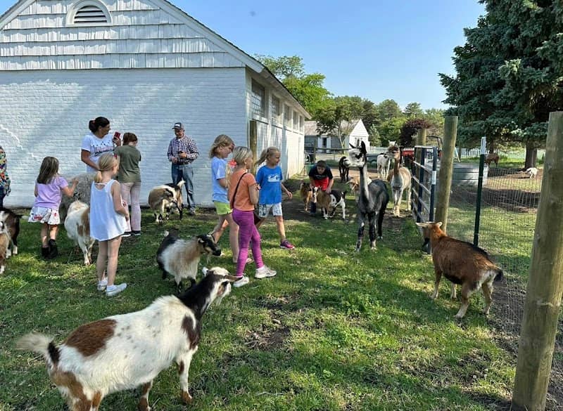 Grady’s Petting Zoo Farm - Image 2