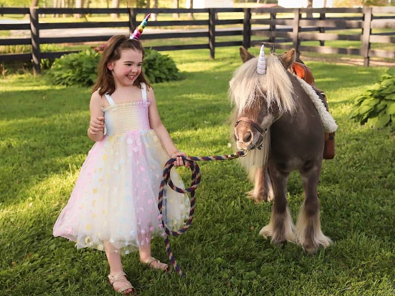 Deb's Pony Parties - Image 2