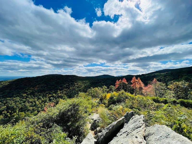 Hazel Mountain Overlook - Image 3