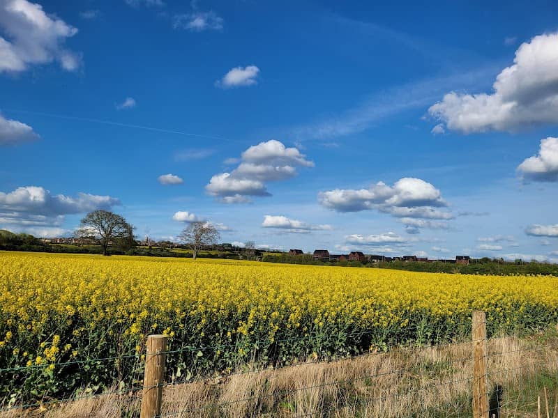 Upton Country Park - Image 2
