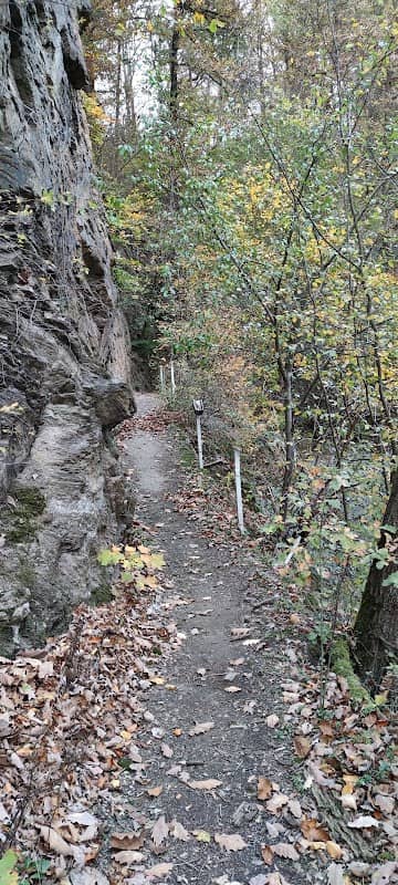 Grubenwehr Schönborn - Image 1