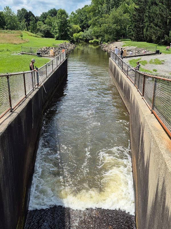 Outflow Recreation Area - Image 1