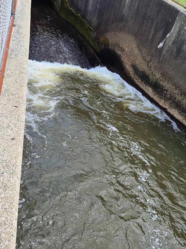 Outflow Recreation Area - Image 2