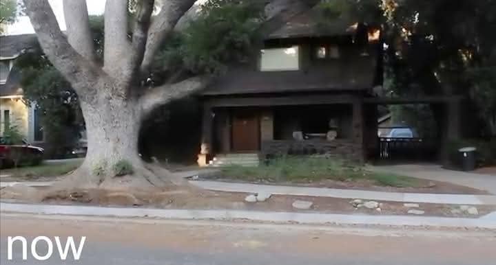 Lorraine House (BTTF) - Image 2