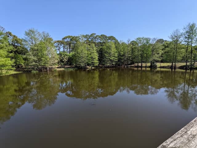 Wadsworth Park - Image 2