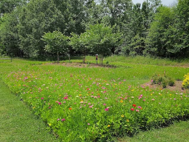Ridgeland Wildflower Field - Image 1