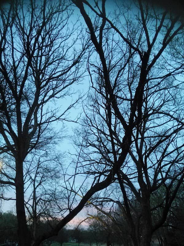Hand Park - Image 2