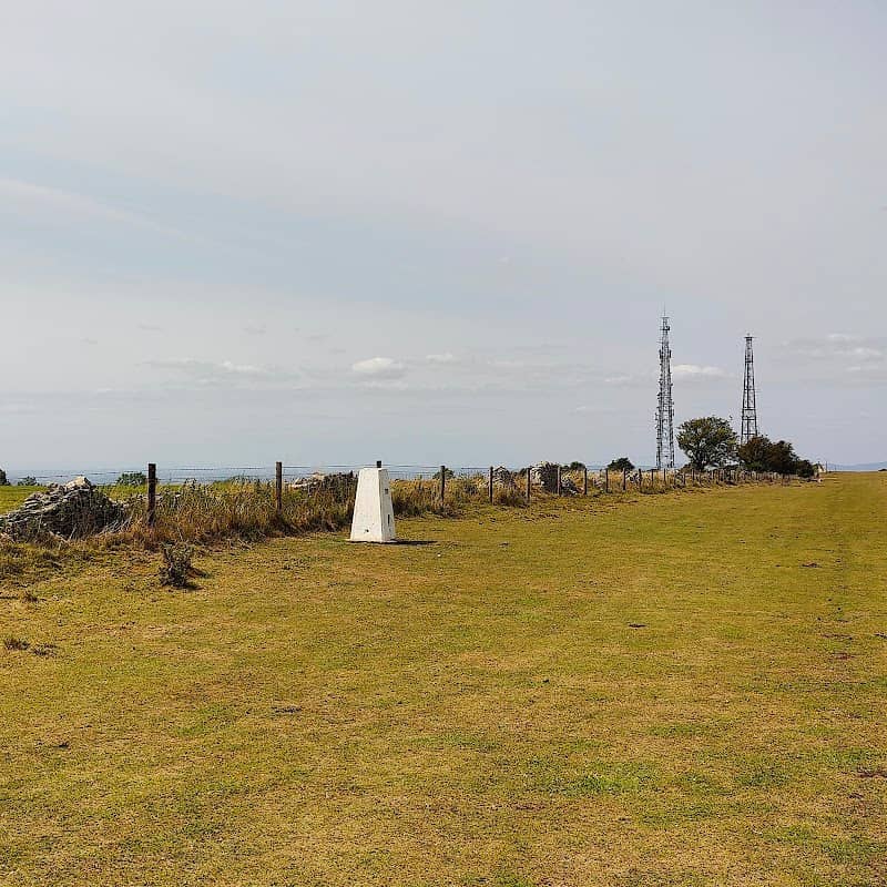 Cleeve Hill Top - Image 3