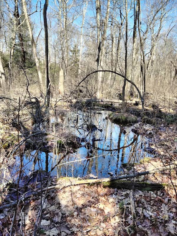 Beaver Meadow loop - Image 2
