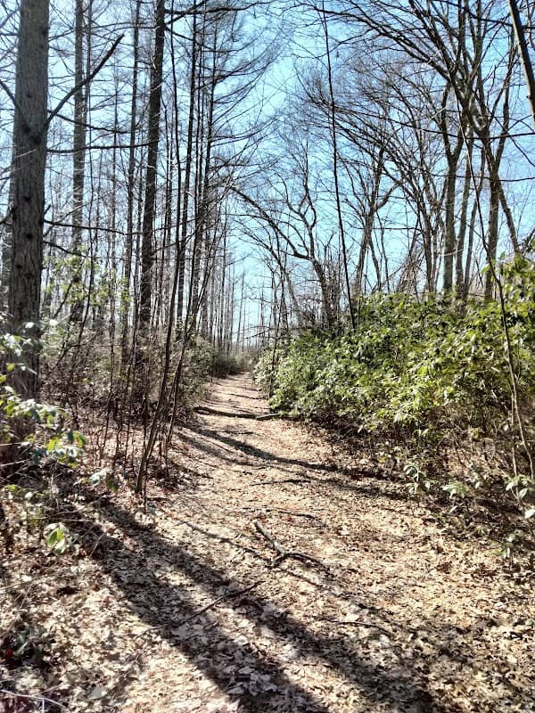 Beaver Meadow loop - Image 1