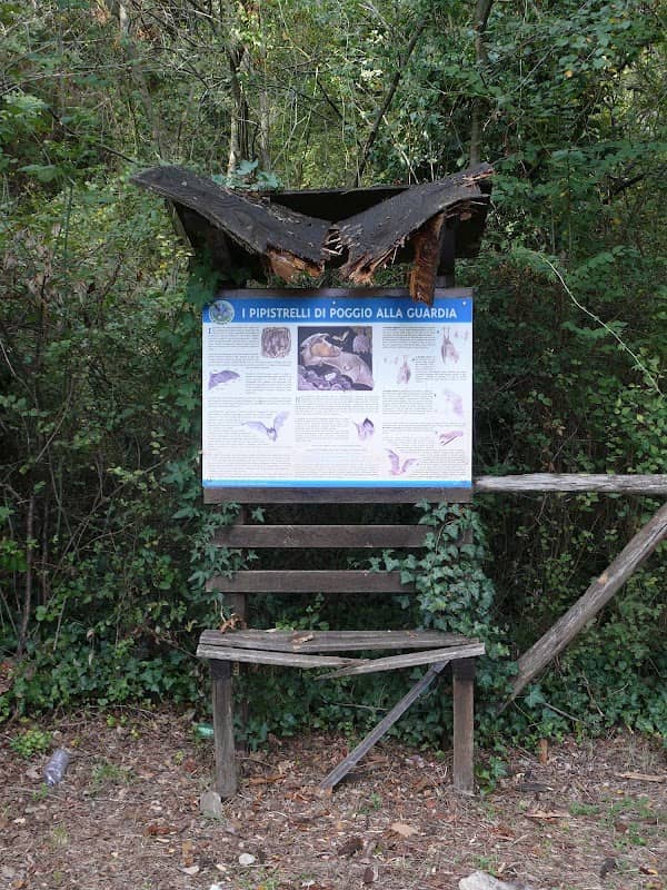Poggio alla Guardia - Image 2