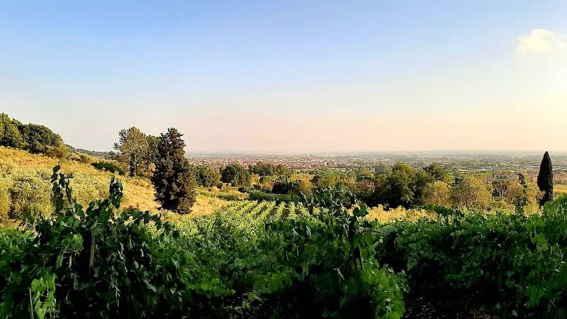 Poggio alla Guardia - Image 1