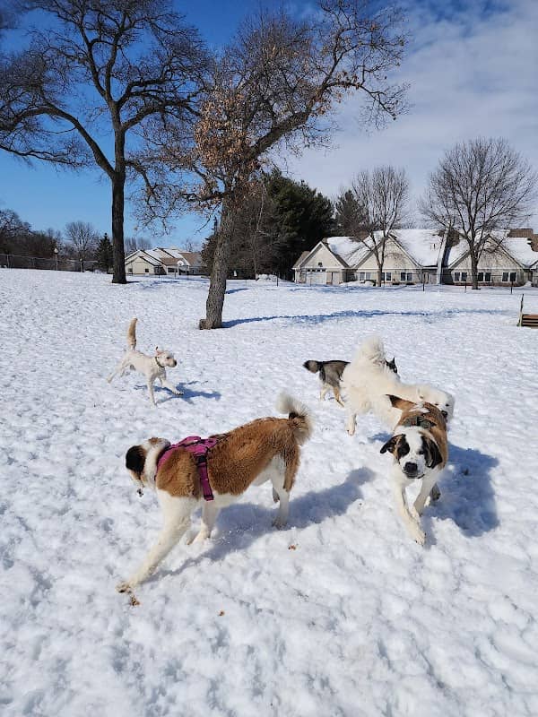 Cambridge Dog Park - Image 3
