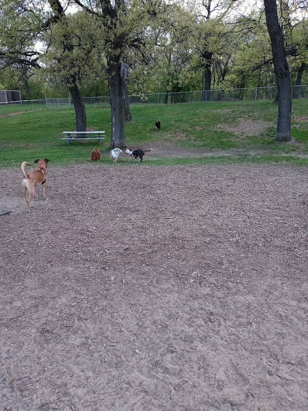 Cambridge Dog Park - Image 2