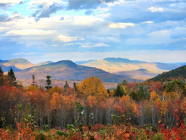 White Mountain National Forest - Image 1